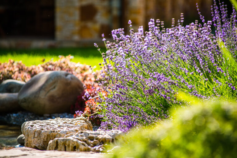 jardin fleuri à auxy